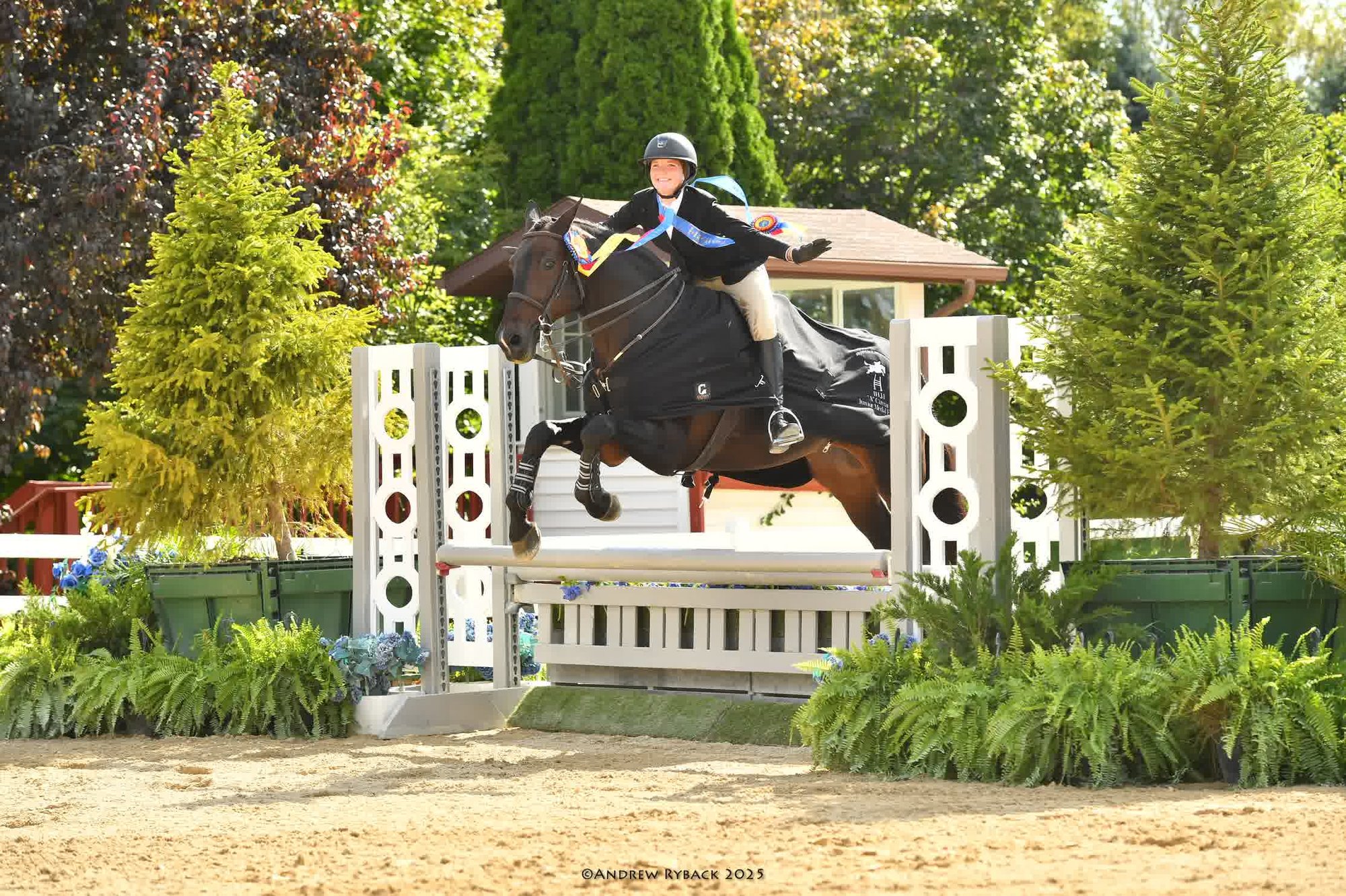 CarliAnn Jumping a horse CarliAnn Jumping a horse