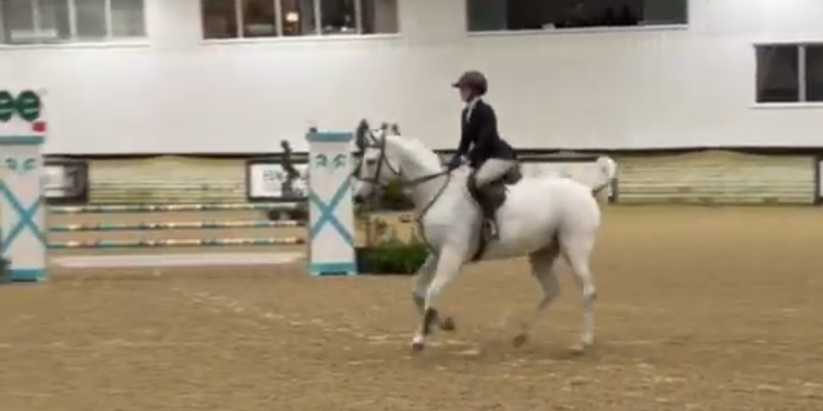 CarliAnn Kooi & Great Gatsby Z WIHS Equitation Classic-Jumper Phase 3'6