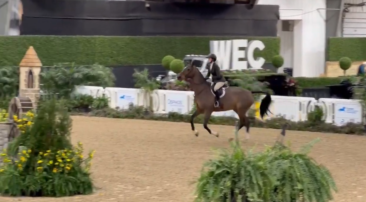 CarliAnn Kooi & Light Dance Junior Hunter 3'3