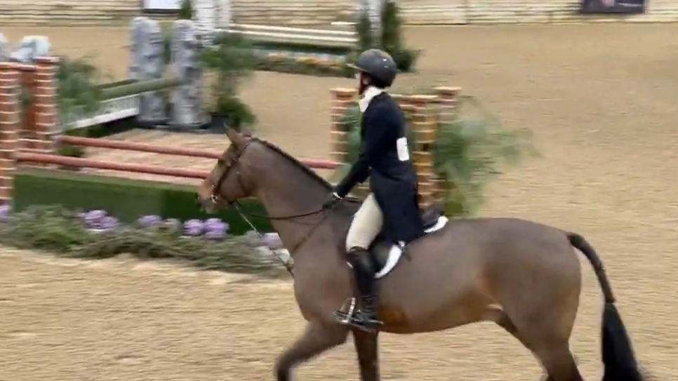WEC Wilmington USHJA National Hunter Derby 3' Non-Pro