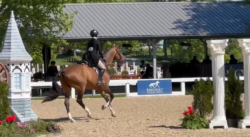 CarliAnn Kooi & Light Dance USHJA National Hunter Derby JR/AM