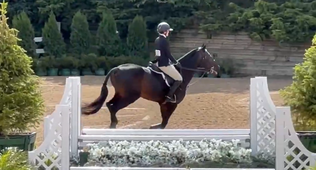 IHJA A Medal Finals Ledges Sporting Horses Clash Heldenlaan Z